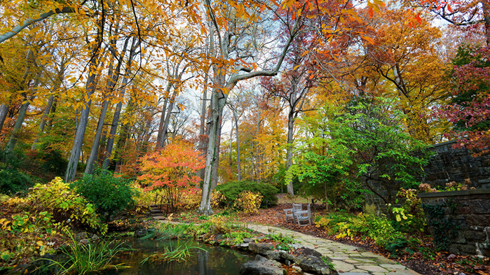 Parks_Autumn_Pond_Trees_535928_1280x720 (700x393, 606Kb)