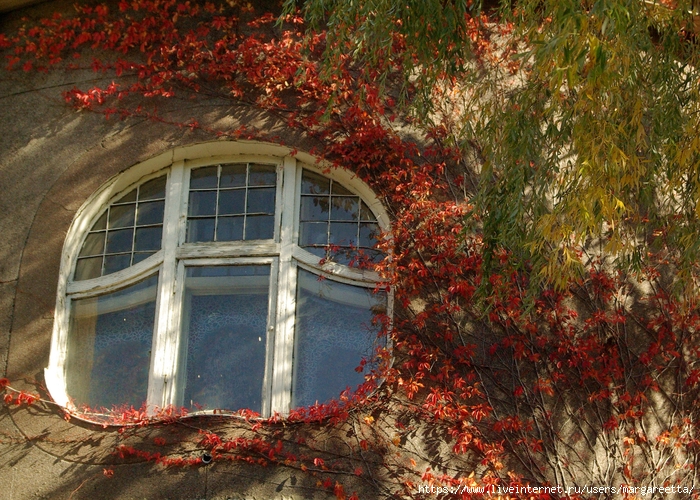 IMGP9380 (700x500, 420Kb)
