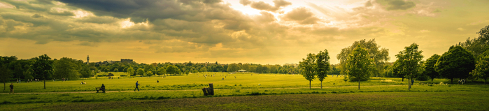 agriculture-beautiful-view-city-park-1080722 (700x159, 168Kb)