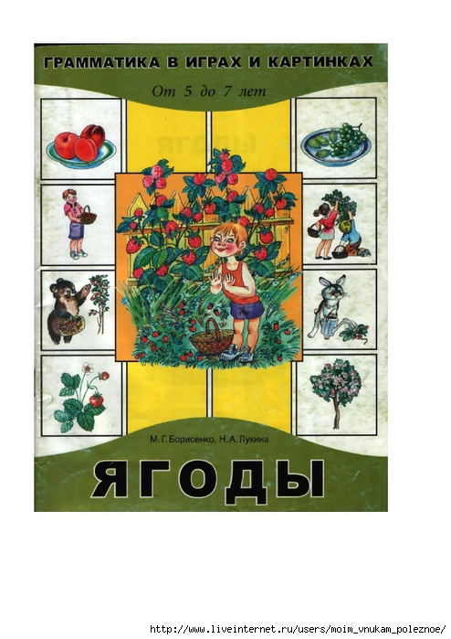 Borisenko_M_G_Lukina_N_A_Yagody_grammatika_v_igrakh_i_kartinkakh_pdf_000 (494x700, 229Kb)