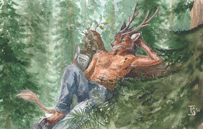 forest_reading_by_ts_cat-d43g5a2 (700x446, 461Kb)