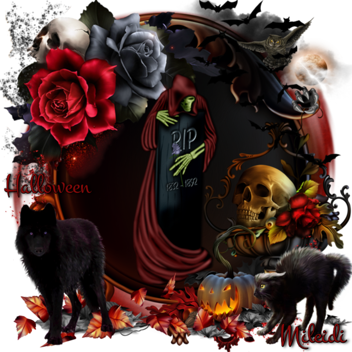 6394601_pJpxaiBJH82o (700x700, 710Kb)