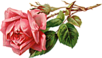 0_a40a6_470fd30d_S (150x86, 25Kb)