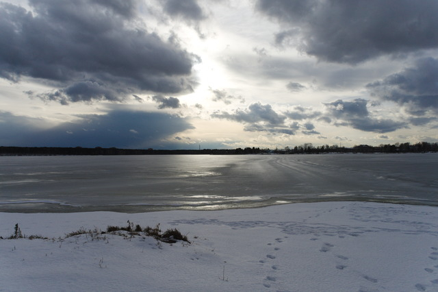 DSC09589 (640x426, 191Kb)