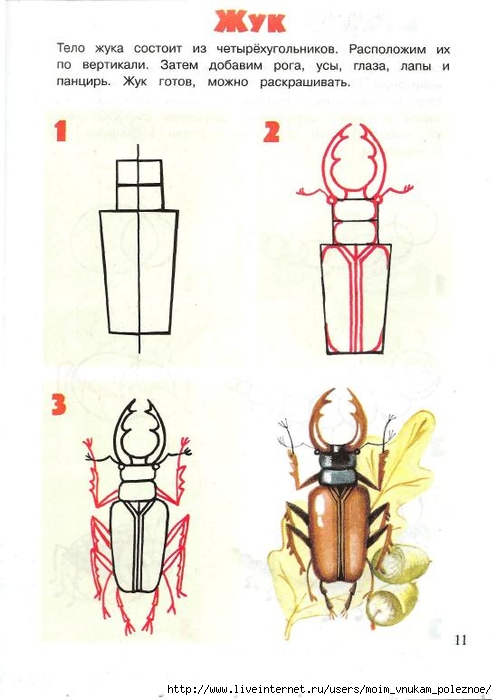 Prostye_uroki_risovania_2011_39_06_11 (497x700, 173Kb)