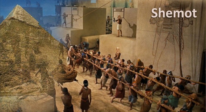 6098670_foto2_rabi_Egipta (700x380, 90Kb)