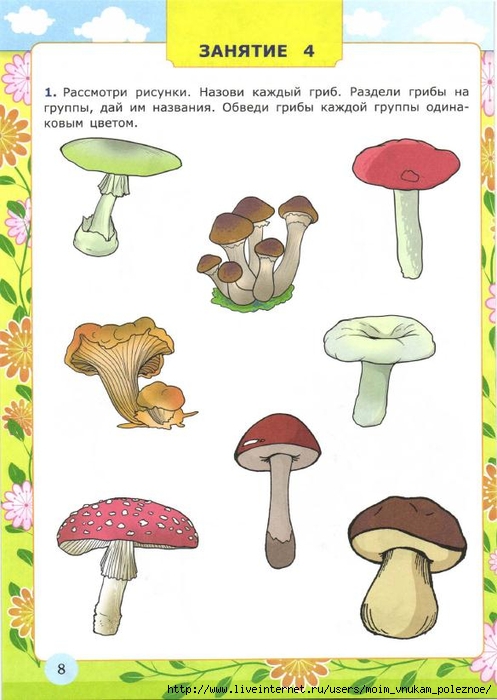 Тексты группы грибы. Деление грибов на группы. Грибы деление на группы. Грибы разделяются на. Как разделить грибы на группы.