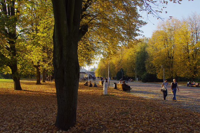IMGP9297 (700x464, 626Kb)