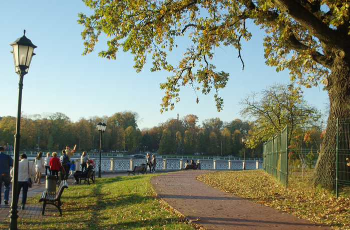 IMGP9318 (700x460, 545Kb)