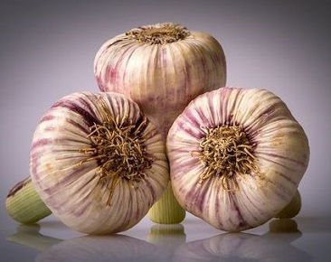 garlic-history-of-healing-benefits_result_1 (366x290, 45Kb)