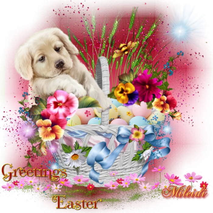 6394601_O3sS7vVjPeL8 (700x700, 902Kb)