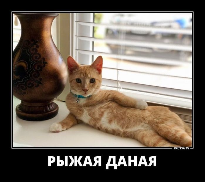 https://img1.liveinternet.ru/images/attach/d/2/145/61/145061561_original__12_.jpg