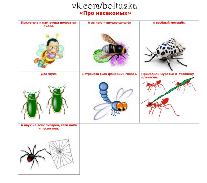 Развитие речи насекомые средняя группа