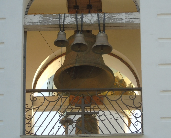 DSC02413 (700x563, 348Kb)