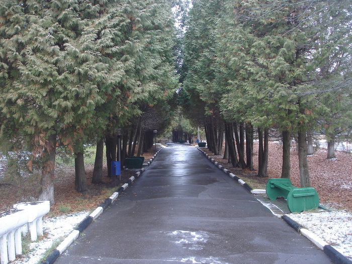  (700x525, 205Kb)