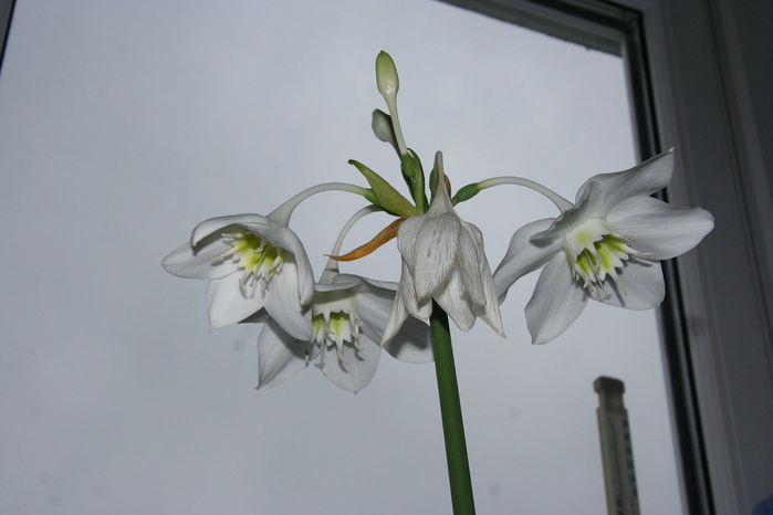 IMG_�34 (700x466, 252Kb)