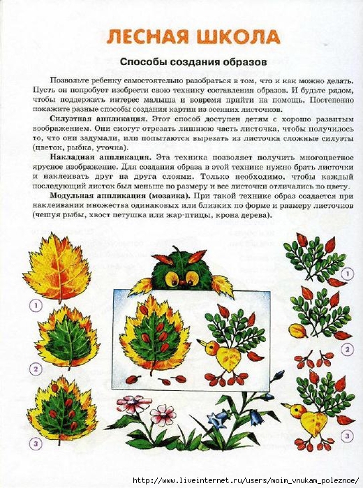 Masterilka_-_ya_sobirayu_gerbariy_9 (520x700, 353Kb)