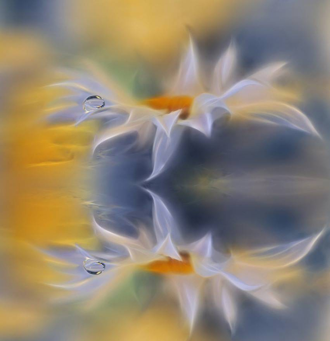 J-Nan-Macro-05 (678x700, 276Kb)