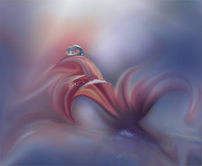 J-Nan-Macro-26 (700x576, 172Kb)