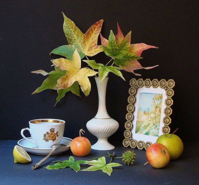 awesome-still-life-photography-8 (700x648, 83Kb)