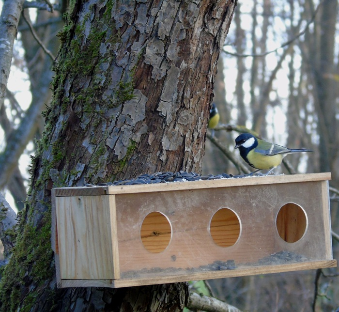 DSC03369 (700x644, 464Kb)