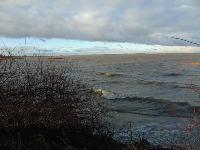 DSC03411 (700x525, 324Kb)