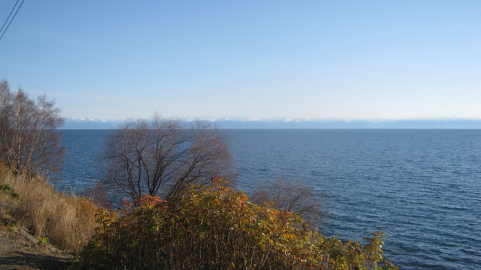 IMG_5479 (700x392, 350Kb)