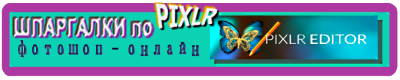 4026647_banner_ShPARGALKA_po_editor_400h80 (400x80, 41Kb)