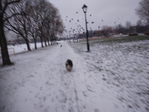  IMG_20181204_154216 (700x525, 256Kb)