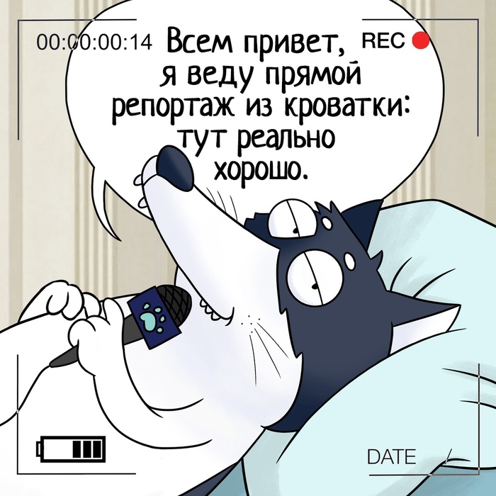 O0R5k5rFnMk (600x450, 131Kb)