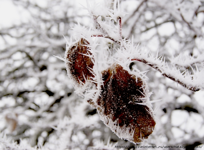 Искусственный снег: 25 красивых идей и советы по применению — aikimaster.ru