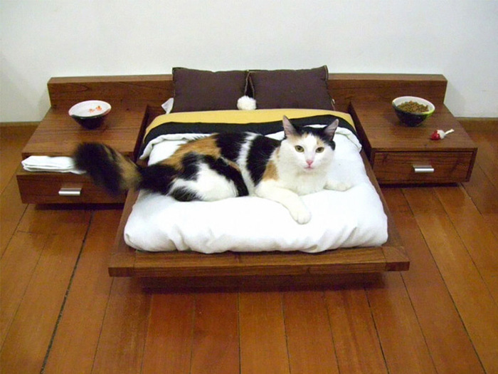 top-10-best-cat-beds-for-kittens-reviews (700x525, 118Kb)
