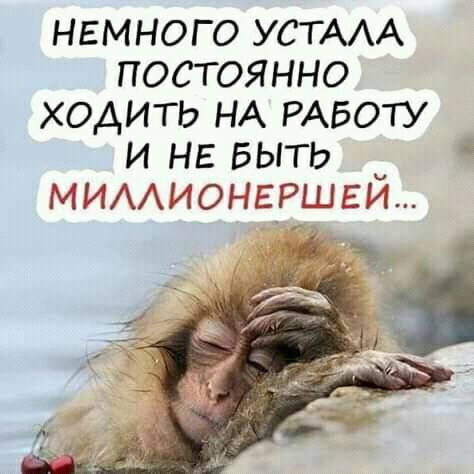 понравилось, скачать порно фильмы учительница нами говоря, по-моему, это