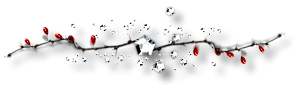 145277010_acb17ed32a8f (294x85, 20Kb)