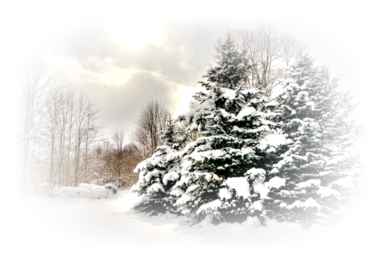 146253653_0_90bad_5eb1b2da_XL (550x382, 392Kb)