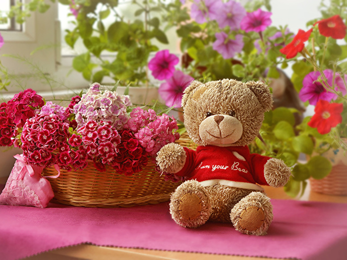Carnations_Teddy_bear_Wicker_basket_535787_800x600 (700x525, 224Kb)