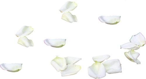 22813107 (500x271, 76Kb)