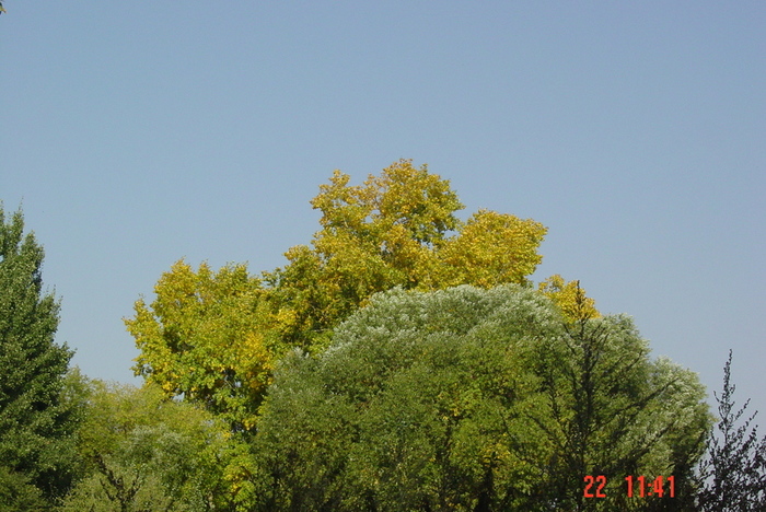 DSC00092 (700x468, 192Kb)