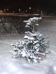  IMG_20181223_214349 (525x700, 277Kb)