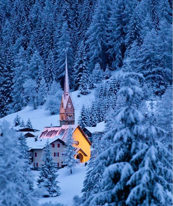 winter_photographs_22 (586x700, 605Kb)