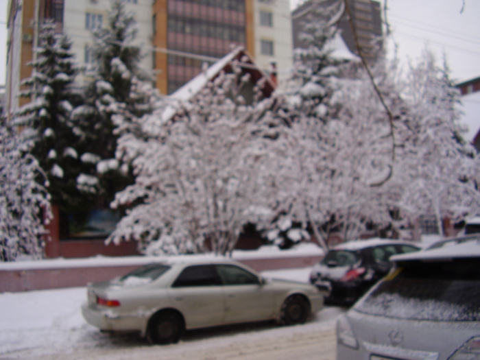 P1010328 (700x525, 391Kb)