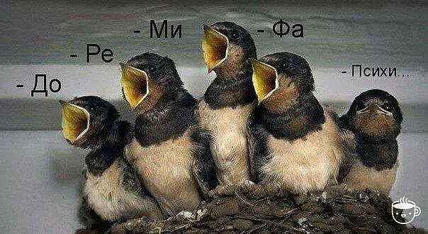 5745884_noti_myzika (604x330, 63Kb)
