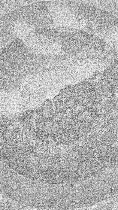 6313355_P_20190104_171519_1 (393x700, 240Kb)