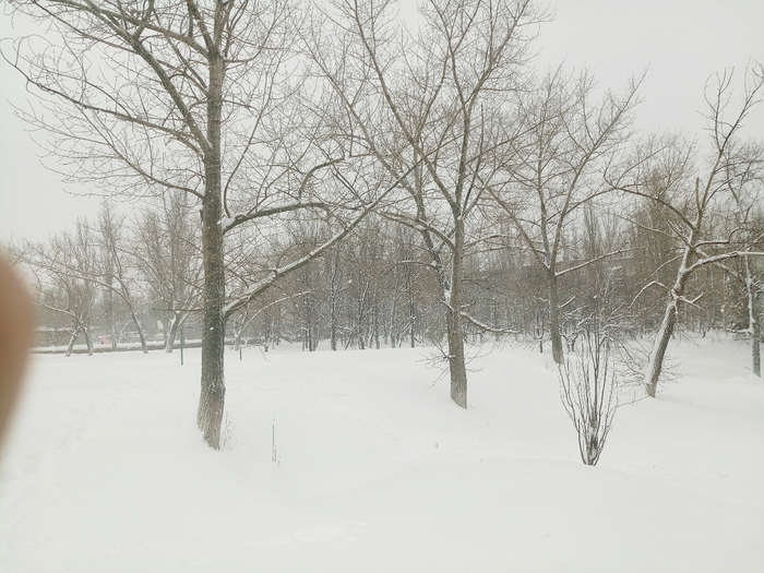 IMG_20190105_112036 (700x525, 351Kb)