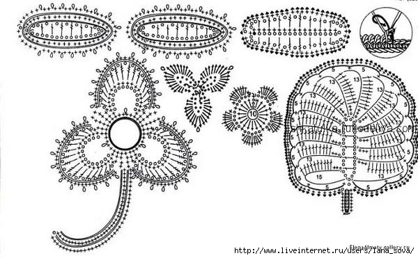 редька3 (600x371, 154Kb)
