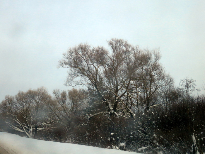 IMG_5877 (700x525, 423Kb)