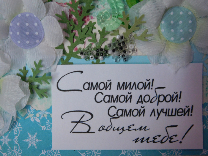 DSCN0998 (700x525, 445Kb)