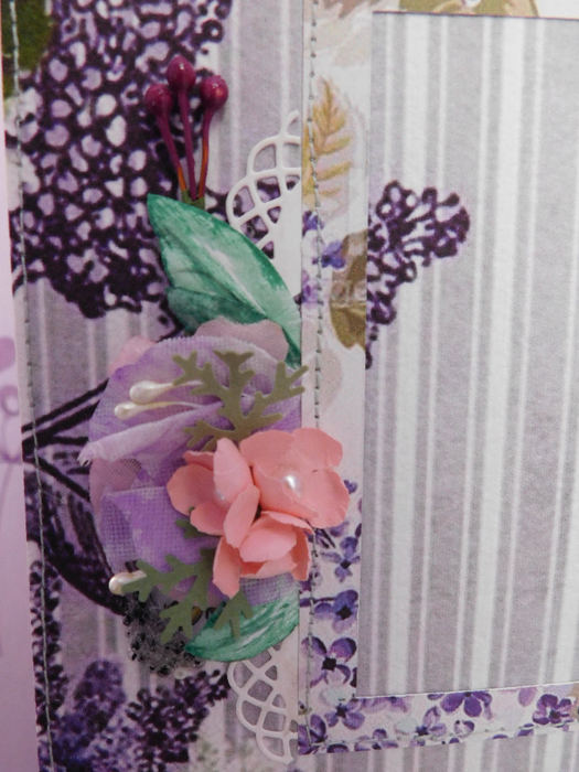 DSCN1067 (525x700, 420Kb)
