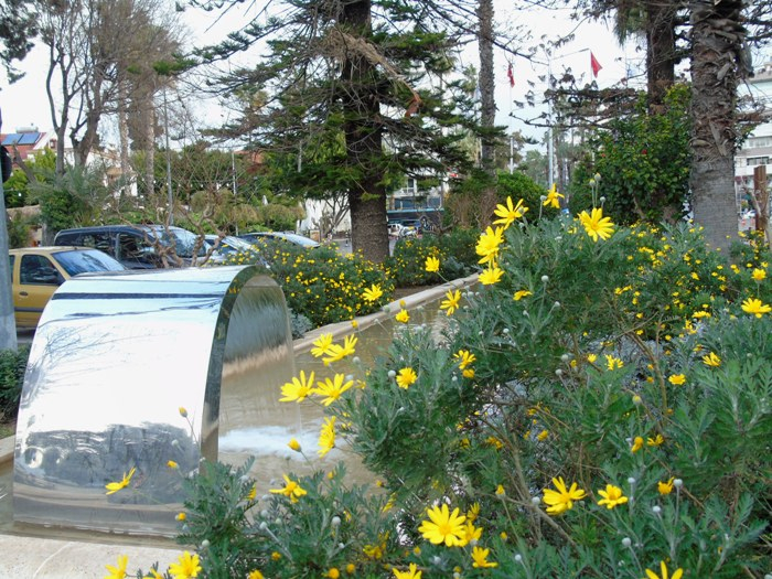 DSC05595 (700x525, 499Kb)