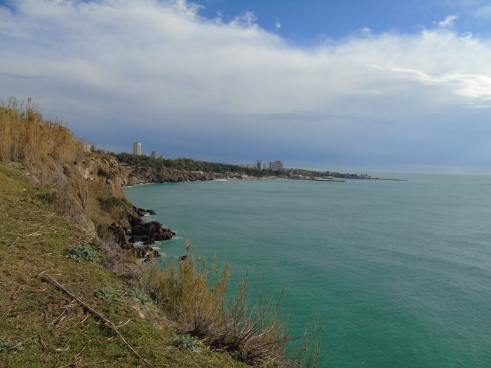 DSC05652 (700x525, 315Kb)